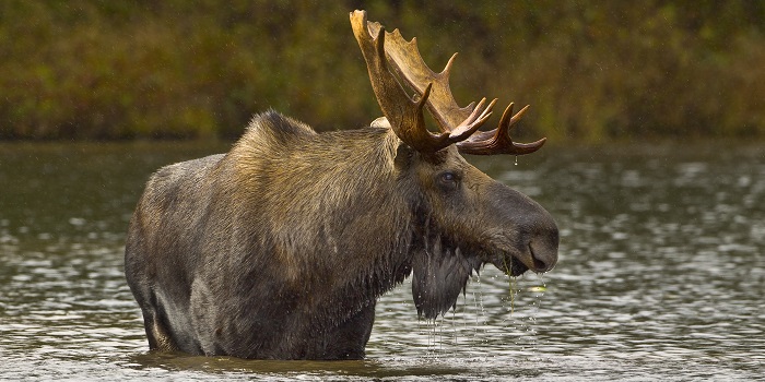 Foto: Richard Seeley/Thinkstock